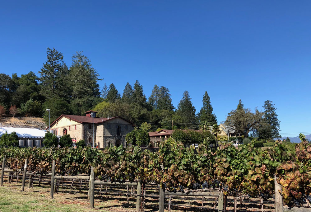 Napa Valley Grape Harvest