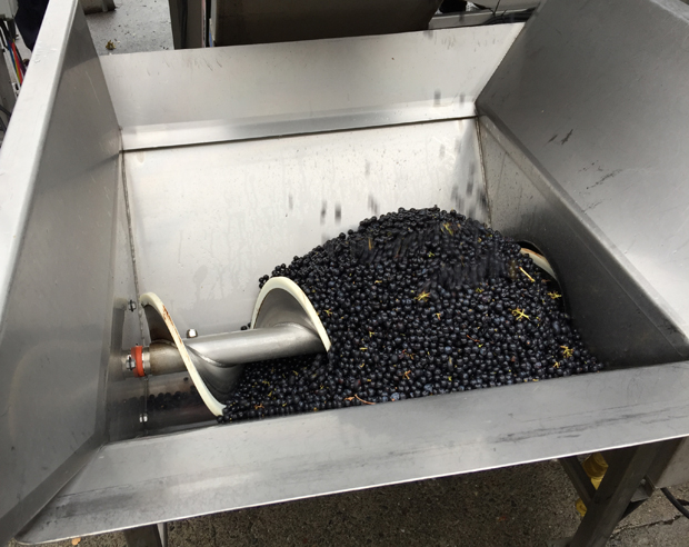 2015 Merlot Sorting Flora Springs Winery 