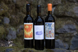 2013 All Hallow's Eve, 2014 Ghost Winery Malbec, 2014 Harvest Witch