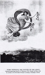 “Flora Dispensing Her Favours on the Earth,”Art
