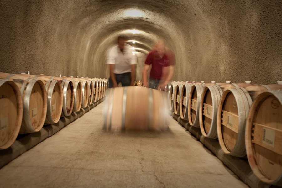 Wine Caves Barrels