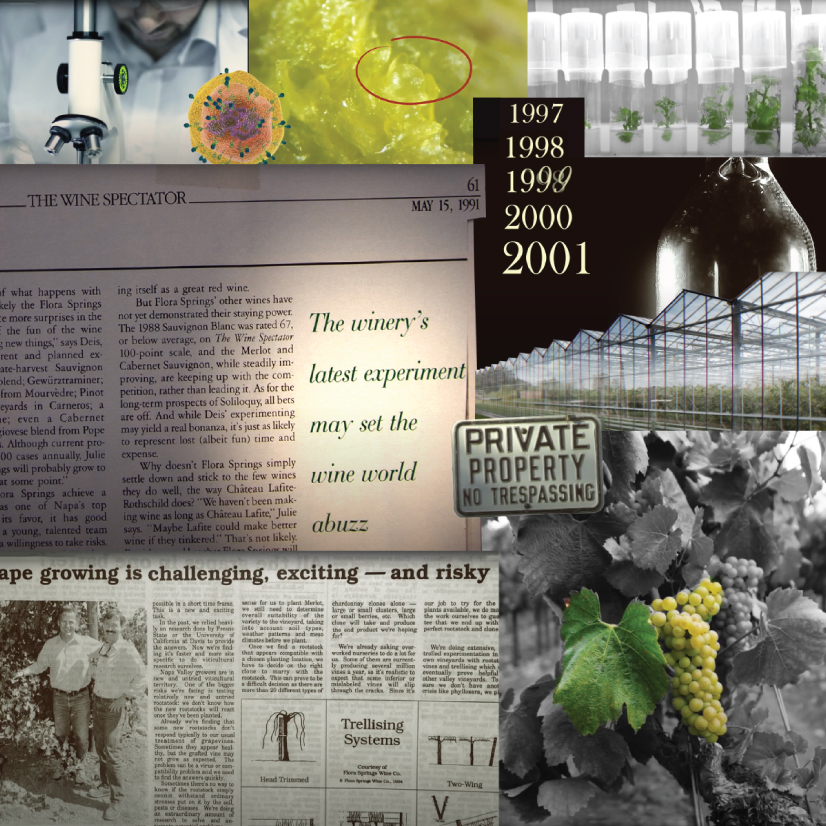 'The Winery's Latest Experiment May Set the Wine World Abuzz' Photo Collage.