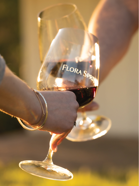 shop-our-wines